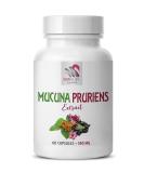 Mucuna Supreme - Organic Mucuna Pruriens Extract Powder & Capsules | International Shipping Available - Buy Online on GoSupps.com