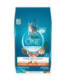 Purina ONE Tender Selects Blend Adult Dry Cat Food - High-Quality Nutrition for Cats - Buy Online on GoSupps.com