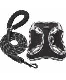 Haapaw Adjustable No Pull Dog Harness & Leash Set - Reflective Step-In Vest for Extra Small to Medium Dogs | Black - Buy Online on GoSupps.com