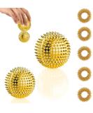 Buy Hedgehog Ball Massage & Acupressure Rings Set for Stress Relief - International Shipping Available - Buy Online on GoSupps.com