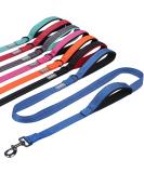 Shop Vivaglory Traffic Handle Dog Leash - Reflective Padded Strong Metal Hook - 1.8m Blue Training Line for Dogs - Buy Online on GoSupps.com