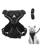 Adjustable Cat Dishes - Perfect for Kittens & Puppies | Line Set & Software Included | Black M - Buy Online on GoSupps.com
