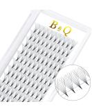 Eyeline fan 8D-D-07-12 eyelash extensions finished eyelashes 0.07 eyelash extension eyelashes. - Buy Online on GoSupps.com