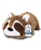 Pettec interactive cat toys electrically for self -employment - movable raccoon with catnip - interactive cat toy - automatic cat toys - cat toys - Buy Online on GoSupps.com