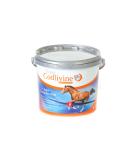 Super Codlivine The Joint Suppliment 2.5 kg (Pack of 1) - Buy Online on GoSupps.com