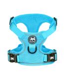 POPOTET Reflective Dog Harness - Soft Breathable Mesh Adjustable Neck & Chest Double Padded Vest No Suffocation - Blue Large - 1 Pack - Buy Online on GoSupps.com