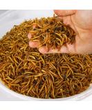 Superpet Dried Mealworms For Birds (5kg) 5 kg (Pack of 1) - Buy Online on GoSupps.com