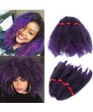 SEGO 11 Afro Crochet Braids Kinky Curly Hair Bulk Extensions in Black & Purple for Stunning Hairstyles | International Shipping Available - Buy Online on GoSupps.com