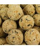 BusyBeaks Suet Fat Balls | Premium Garden Wild Bird Food | Enhanced Year-Round Formula | Naturally Blended High in Energy & Protein-Rich Feed | Full of Fresh Nutritious Fat Fibre & Moisture (10 Pack) 10 count (Pack of 1) - Buy Online on GoSupps.com
