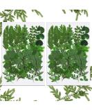 Dried Pressed Leaves and Flowers Assorted Greenery for Resin Art - 42 Pieces, 7 Styles - Buy Online on GoSupps.com