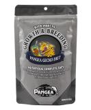 Pangea Gecko Diet Growth and Breeding 8 oz - Pack of 1 - Buy Online on GoSupps.com