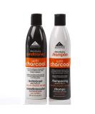 Excelsior Charcoal Detoxifying Hair Care Set - 2 Piece | Shop Internationally for Healthy Hair - Buy Online on GoSupps.com