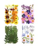 Assorted Real Dried Pressed Flowers and Leaves for Pressed Leaf Art and Resin Art - 106 Pieces (Pink Purple Yellow Green) - Buy Online on GoSupps.com