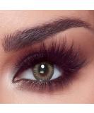Bella 1-Day Colored Contact Lenses - Platinum Gray Daily Use Perfect for Dark Eyes - No Prescription Required - Buy Online on GoSupps.com