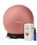 Retrospec Luna Exercise Ball Set | Anti-Burst 55cm Ball & Base with Pump | Rose - Buy Online on GoSupps.com
