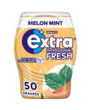 Extra Professional Fresh Chewing Gum Melon Mint 50 Dragees Melon Mint 50 pieces (1 pack) - Buy Online on GoSupps.com