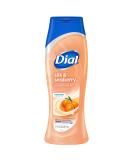 Dial Body Wash 16 Fl Oz Pack of 6 - Pamper & Indulge with Silk & Seaberry - Buy Online on GoSupps.com