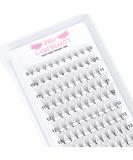 Premade 6D-C Volume Eyelash Extensions | Pointed Base Fans 0.07 & 0.10 16mm C D Curl | International Shipping - Buy Online on GoSupps.com