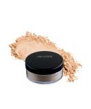 Buy Lord & Berry LOOSE POWDER Finishing Touch Makeup - Silky Matte Finish - International Shipping Available - Buy Online on GoSupps.com