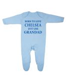 Chelsea Just Like Grandad Baby Onesie | 6-12 Months | 100% Fine Combed Cotton | UK Designed & Printed | Blue - Buy Online on GoSupps.com