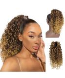 14 Deep Curly Drawstring Ponytail Extension for Black Women - Afro Kinky Curly Synthetic Hair Piece with Clips | T33/27 Ombre Blonde | 14 Inch - Buy Online on GoSupps.com