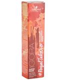 SCHWARZKOPF Igora #RTO 6-491 Dark Blonde Be. Viol. Cen. 60ml - Buy Internationally Fast Shipping Best Quality Hair Color - Buy Online on GoSupps.com
