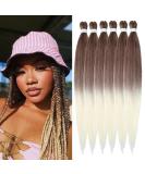 Easy Braid Pre-Stretched Braiding Hair 20 Inch - 6 Packs Kanekalon Yaki Texture - Free Hot Water Braid Crochet Hair Extensions (30-613#) - Buy Online on GoSupps.com