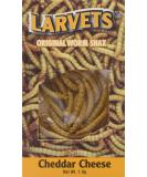 Hotlix Larvets Cheddar Cheese - Crunchy Edible Insects Snack - Buy Online on GoSupps.com