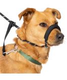 Total Pet Anti-Pull Figure 8 Dog Lead with Padded Nose Support - Medium/Large Black - Buy Online on GoSupps.com