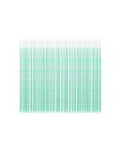 500 PCS Glitter Green Disposable Lip Brushes - Makeup Gloss Wands Applicator Tool for Lipstick & Gloss - Buy Online on GoSupps.com