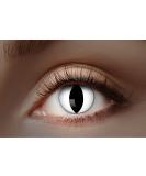 Eyecatcher Colored UV Contact Lenses - White Glow 12-Month Wear Perfect for Carnival Mardi Gras & Halloween | 1 Pair - Buy Online on GoSupps.com