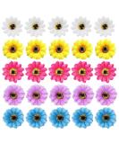 inSowni 25 Pack Hawaiian Wedding Sunflower Daisy Alligator Hair Clips for Women and Girls - Buy Online on GoSupps.com