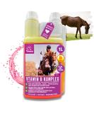 Vitamin B Complex for Horses - 1L Liquid | High Dose B1 B2 B6 B12 | Supports Muscles Immune System Nerve Energy & Metabolism - Buy Online on GoSupps.com