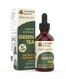 Organic Green Tea Liquid Extract Drops - Immune Support Supplement with Antioxidants & Polyphenols for Gentle Energy - Non-GMO, Alcohol & Gluten Free - Buy Online on GoSupps.com