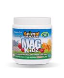 Nature's Plus Animal Parade Mag Kidz â€“ Children's Magnesium Supplement, Natural Cherry Flavor, 0.37 lb - Buy Online on GoSupps.com