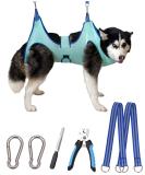 Buy Kkiimatt Pet Care Hammock Harness for Small Dogs | Dog Care Hammock with Nail Clipper & Wide Strap (XX-Large 40kg Max) - Turquoise - Buy Online on GoSupps.com