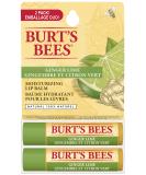 Burt's Bees Ginger Lime Lip Balm 2 Pack - 4.25g | Moisturizing Lip Care - Buy Online on GoSupps.com