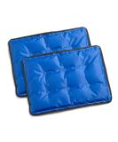 Cool Coolers Flexible Gel Ice Pack Standard Large - Reusable Cold Compress for Sore Muscles, Bruising, and Swelling - 11x14.5 Inch - 2 Count - Buy Online on GoSupps.com