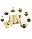 Creano Teblumen Mix - Golden Gift Set with Glass Teapot | White Green & Black Tea in 6 Varieties | Perfect Gift for Women - Buy Online on GoSupps.com