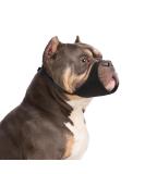 YOLHAMY Soft Dog Muzzle for Pitbull Rottweiler American Bully & Boxer - Prevent Biting & Barking | Best for Medium & Large Short Snouts | XL Fur Care - Buy Online on GoSupps.com