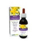 John's cabbage (Hypericum perforatum) herb with flowers of non -alcoholic primeval tincture Naturalma |Liquid extract drops 120 ml |Dietary supplement |Veganer alcohol -free 120 ml (1 Pack) - Buy Online on GoSupps.com