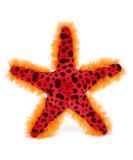 Zappi Co Plush Starfish Toy | Safari Animals Collection | Soft Cuddly Stuffed Animal for Kids - Buy Online on GoSupps.com