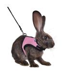 Niteangel Adjustable Soft Harness with Elastic Leash for Medium Rabbits - Pink | Comfortable & Safe Rabbit Apparel - Buy Online on GoSupps.com