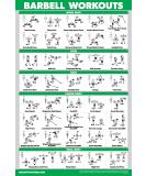 QUICKFIT Barbell Exercise Poster Laminated 18x24 for Kids Room | International Shipping Available - Buy Online on GoSupps.com