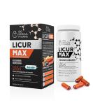 Turmeric capsules high -dose - 185x higher bioavailability - high -dose micelle curcumin - 1 vegan capsule daily - corresponds to 6 600 mg turmeric powder - Licur max 60 (monthly pack) - Buy Online on GoSupps.com
