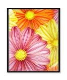 Quilling Kit for Adults - Flower 16x20 inch DIY Paper Filigree Painting Set - Beginner friendly Quilling Paper Tool - Great Wall Art Decor and Gift Idea for Kids and Friends - Buy Online on GoSupps.com