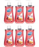DIA02795 - Dial Pomegranate Antibacterial Hand Soap - 6 Pack - Buy Online on GoSupps.com