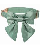 Comfortable Silk Dog Collar with Removable Fly for Small Dogs | Lionet Paws | Ideal for Neck 25-40cm | 1 Pack - Buy Online on GoSupps.com