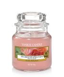 Yankee Candle Sun-Drenched Apricot Rose - Small Glass Candle | 30 Hours of Fragrance | International Shipping Available - Buy Online on GoSupps.com