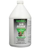 Kordon #39462 Ich Attack for Aquarium - 1 Gallon | Effective Ich Treatment - Buy Online on GoSupps.com